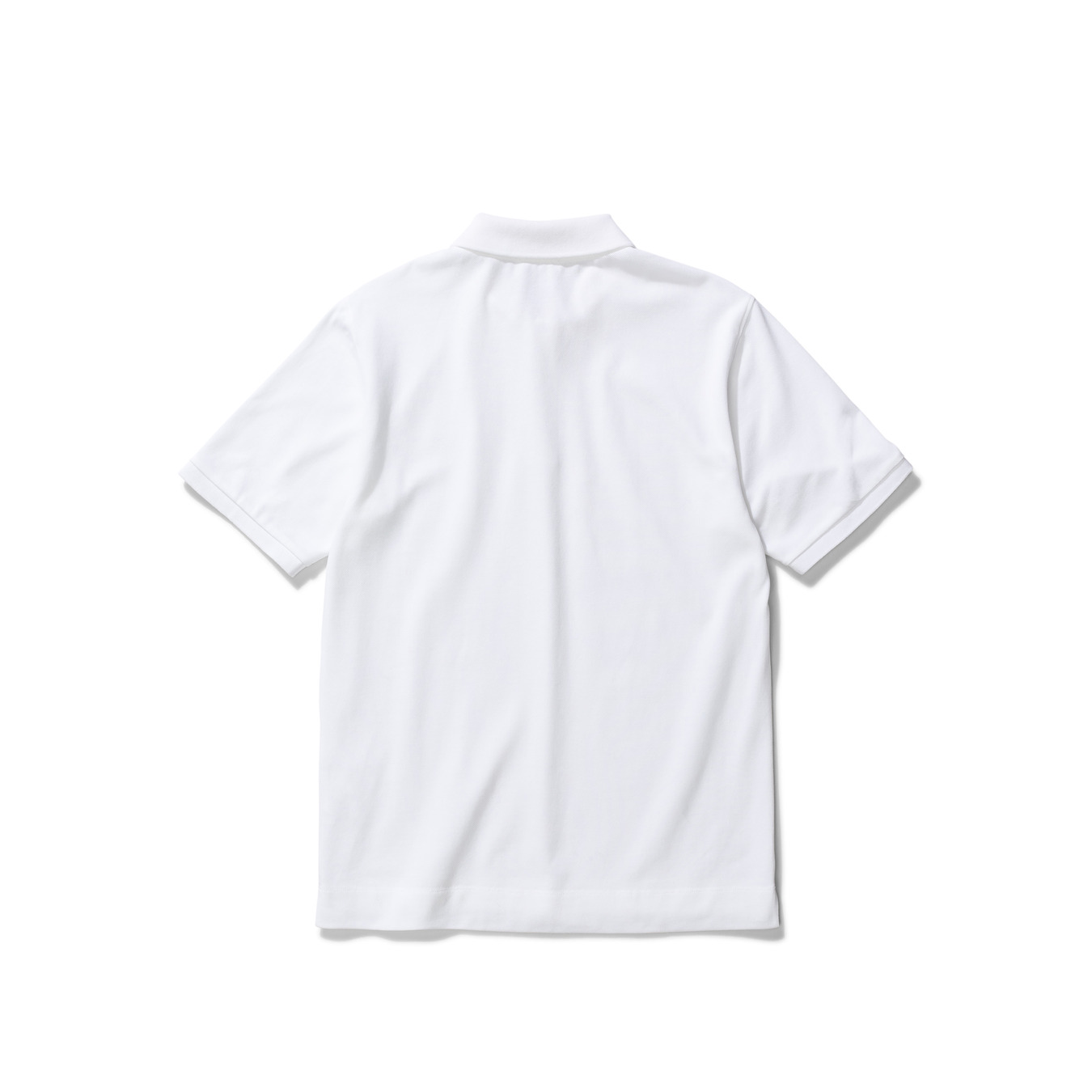 36643_22cf8dad43-n01-0488-0001
